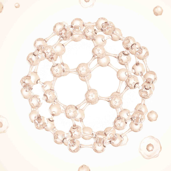 Ceramide Complex