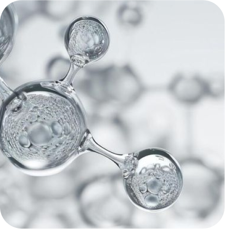 2% Polyglutamic Acid