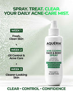 Acne Clearing Face & Body Spray with Salicylic Acid, Benzoyl Peroxide & Zinc PCA | For Back & Body Breakouts | Fast-Drying 360° Spray